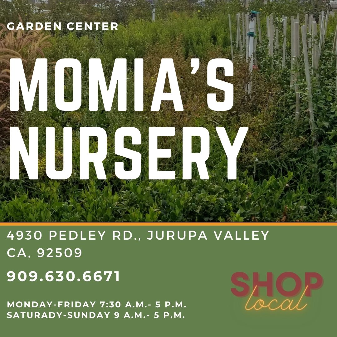 Momia's Nursery, 4930 Pedley Rd, Jurupa Valley, CA 92509